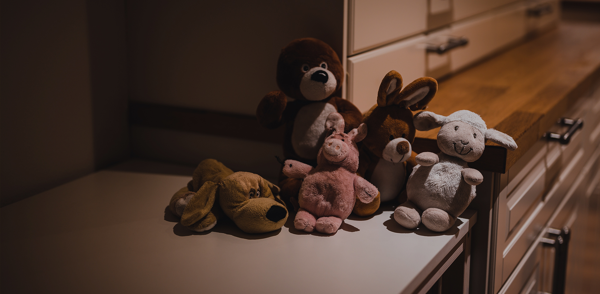 شركة تيانتشانغ بيستجوي للحرف اليدوية والهدايا المحدودة